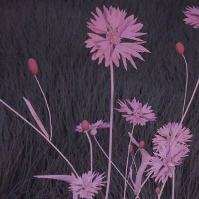 万博体育苹果下载